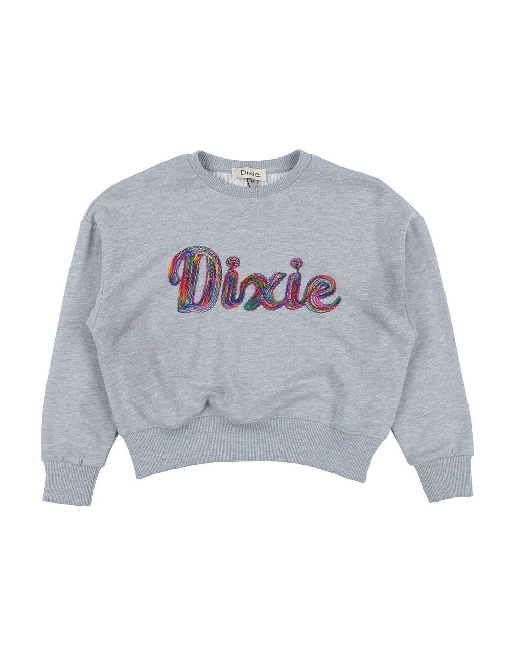 DIXIE - Sweatshirts
