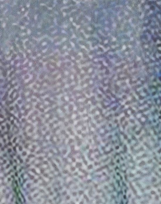 SHARAY Футболка