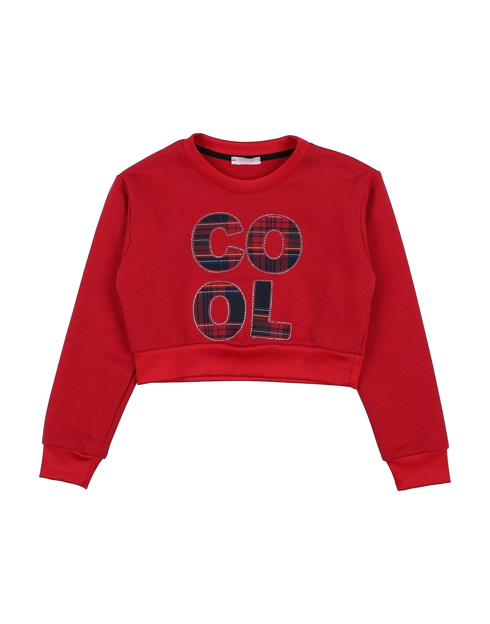 ALEXIA - Sweatshirts