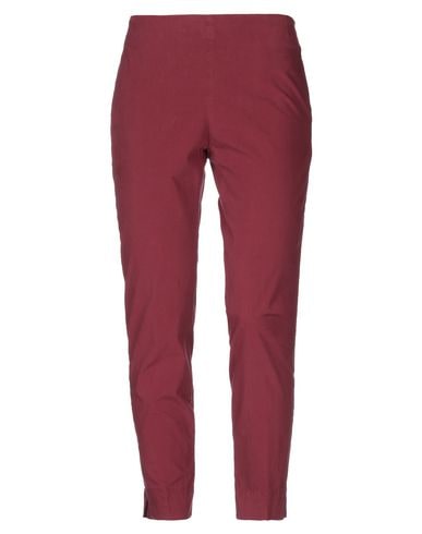Maliparmi Pants In Maroon