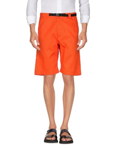 Life Sux Man Shorts & Bermuda Shorts Orange Size M Cotton In Orange