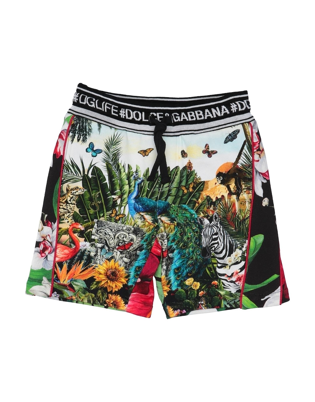 DOLCE&GABBANA - Shorts & Bermuda Shorts