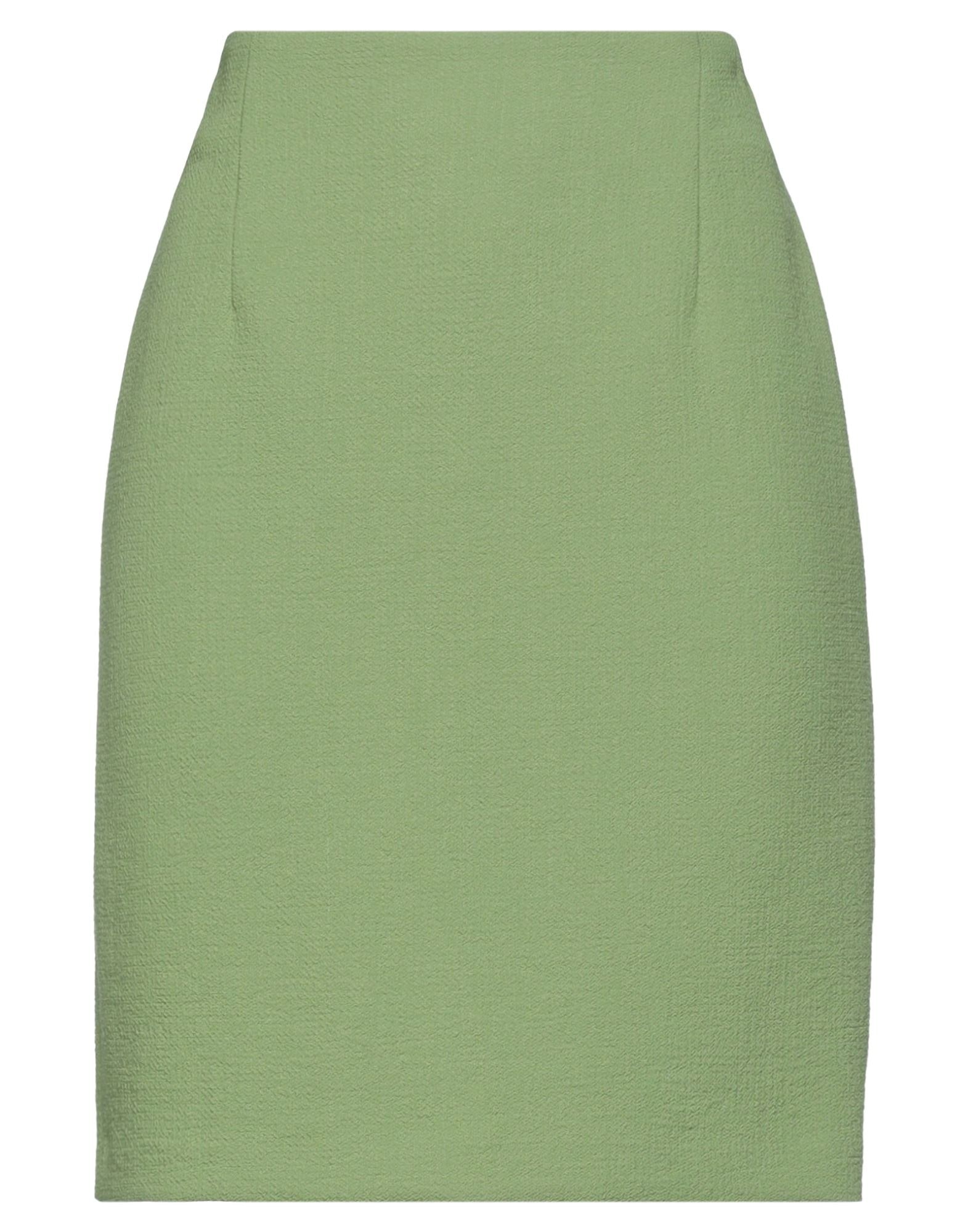 ELISABETTA FRANCHI - Mini skirts