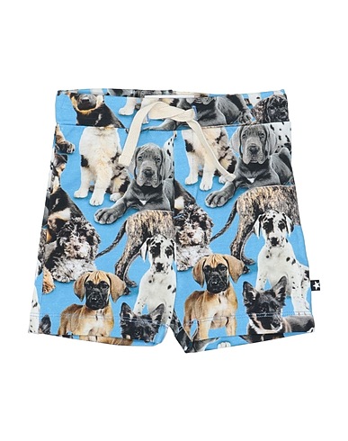MOLO Shorts & Bermudas Blaugrau 95% Organische Baumwolle, 5% Elastan