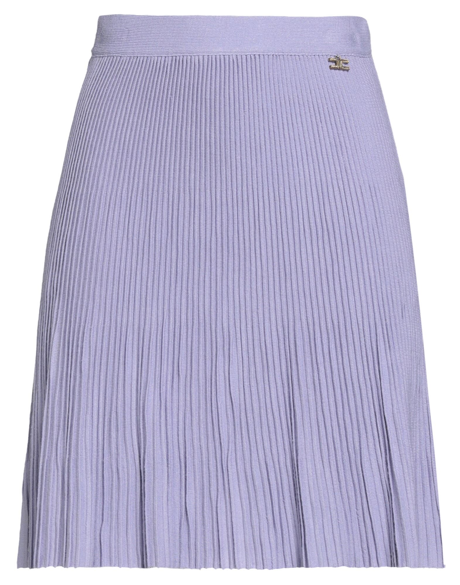 ELISABETTA FRANCHI - Mini skirts