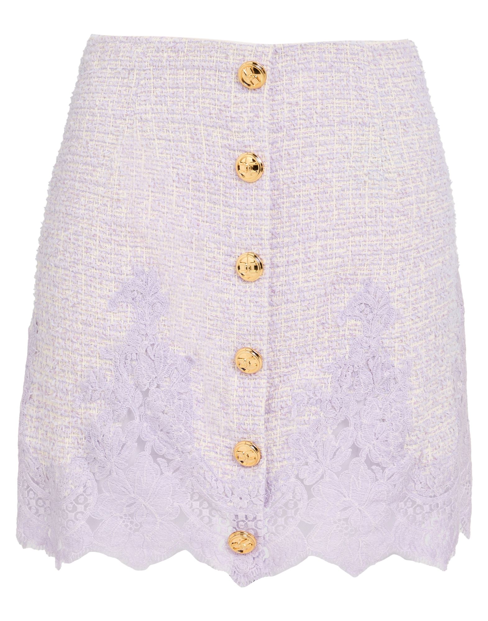 ELISABETTA FRANCHI - Mini skirts