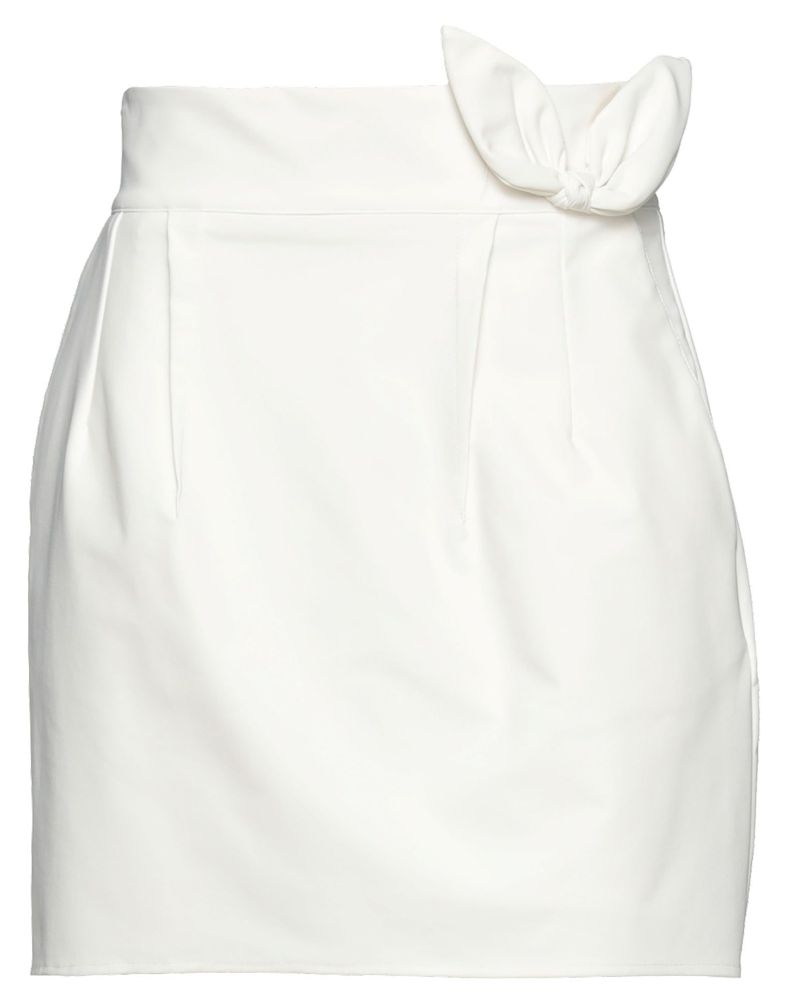 ELISABETTA FRANCHI - Mini skirts