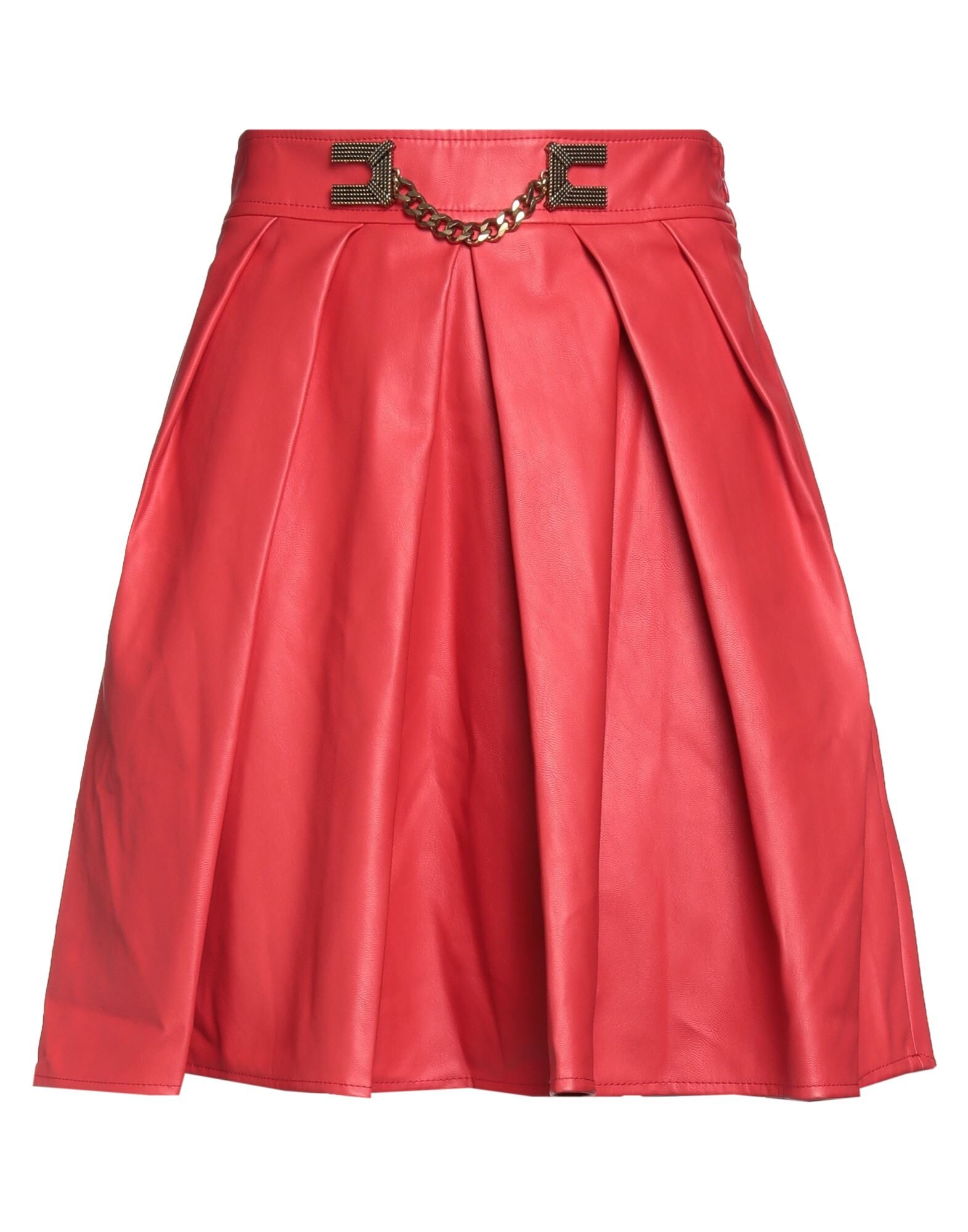 ELISABETTA FRANCHI - ミニスカート