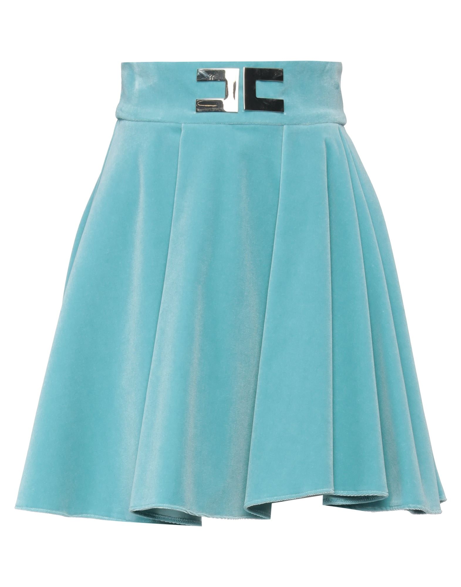 ELISABETTA FRANCHI - Mini skirts