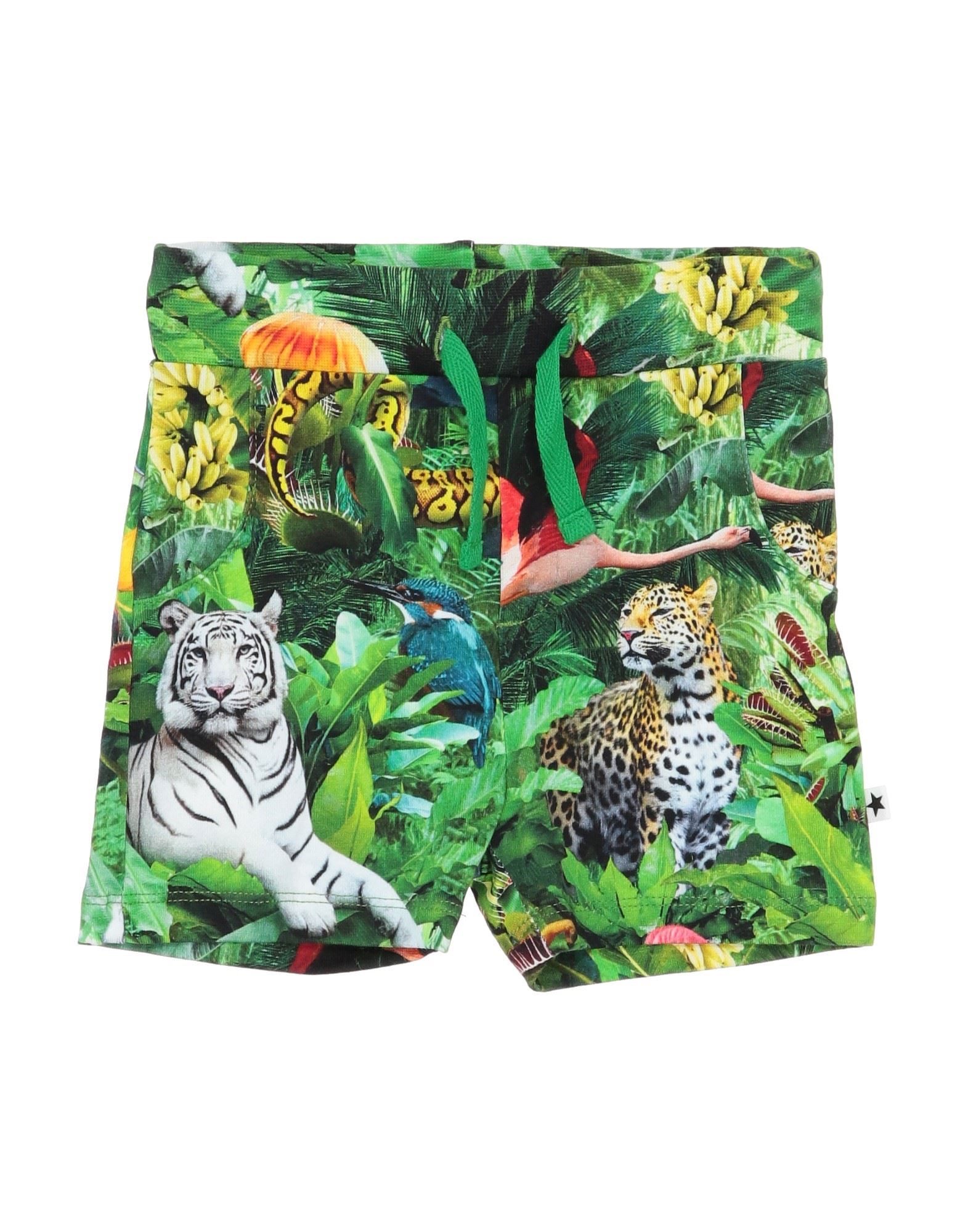 MOLO - Shorts e bermuda