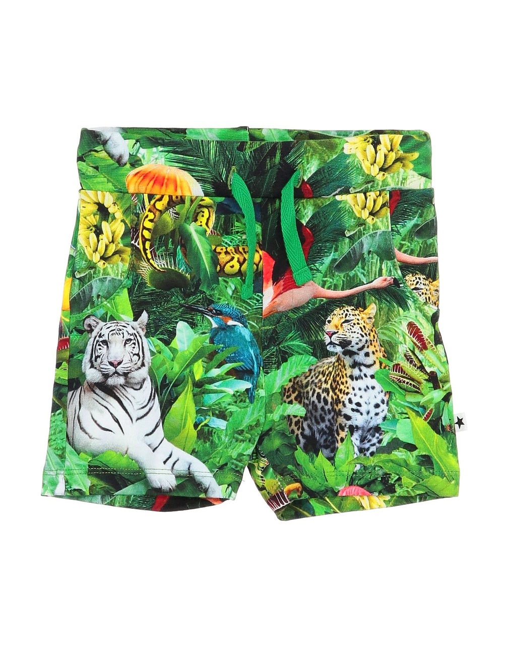 MOLO - Σορτς & Βερμούδες