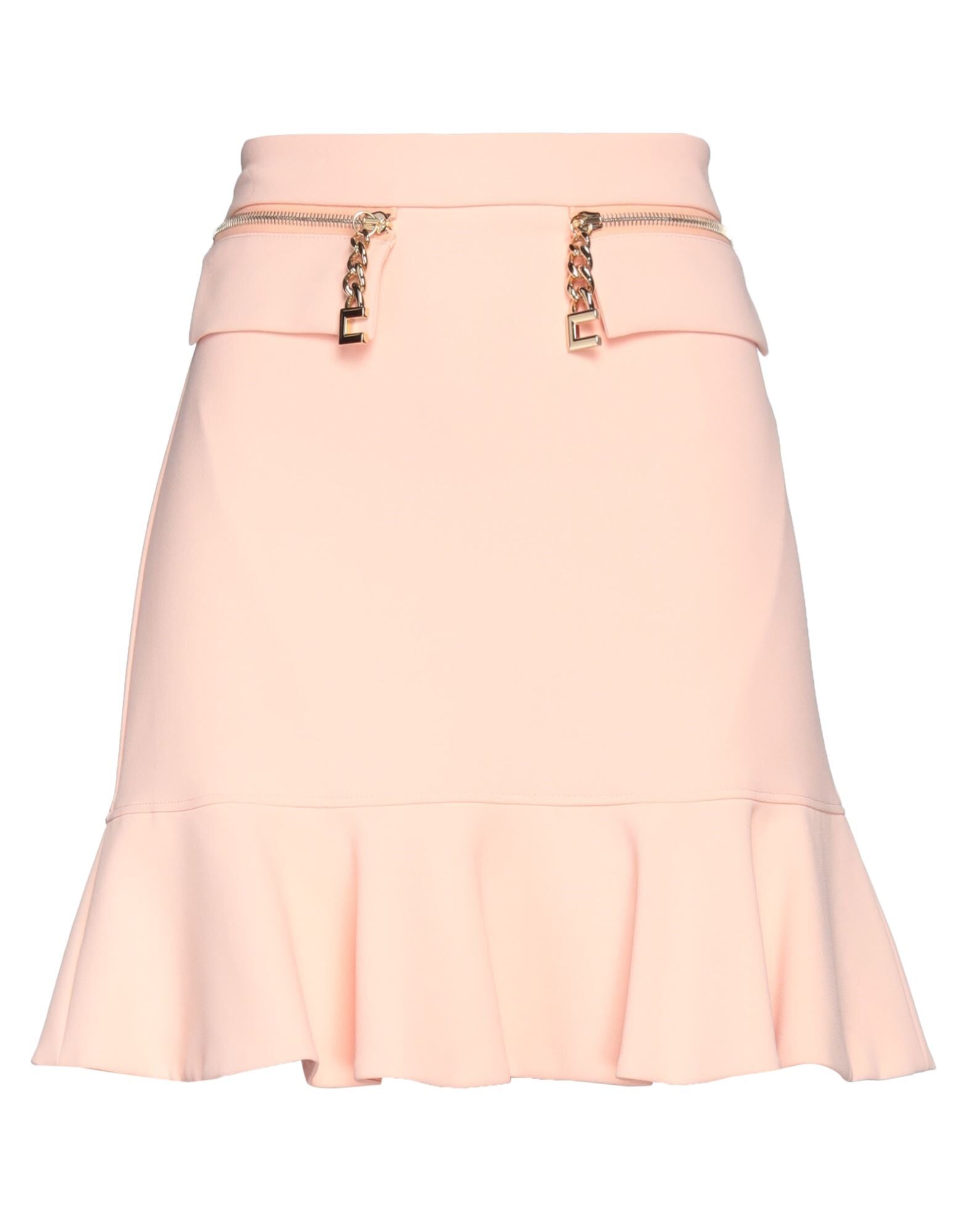 ELISABETTA FRANCHI - Mini skirts