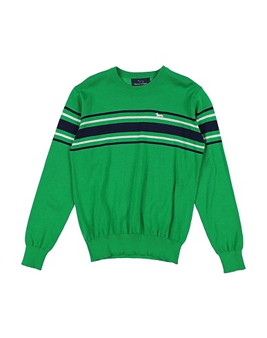 HARMONT & BLAINE Jumper Green 100% Cotton