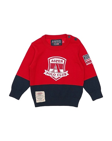 ASPEN POLO CLUB Jumper Red 80% Viscose, 20% Nylon