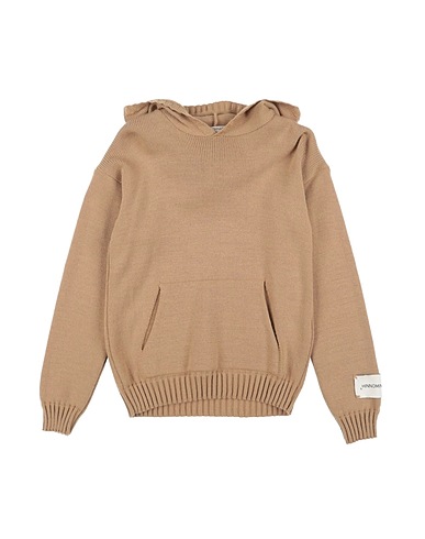 HINNOMINATE Jumper Camel 70% Acrylic, 30% Wool