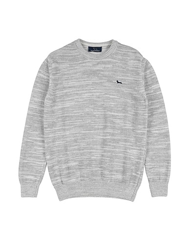 HARMONT & BLAINE Jumper Light grey 80% Wool, 20% Polyamide