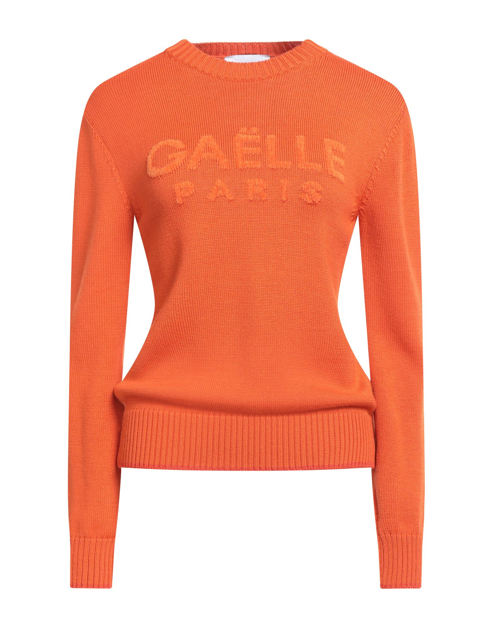 GAëLLE Paris - プルオーバー