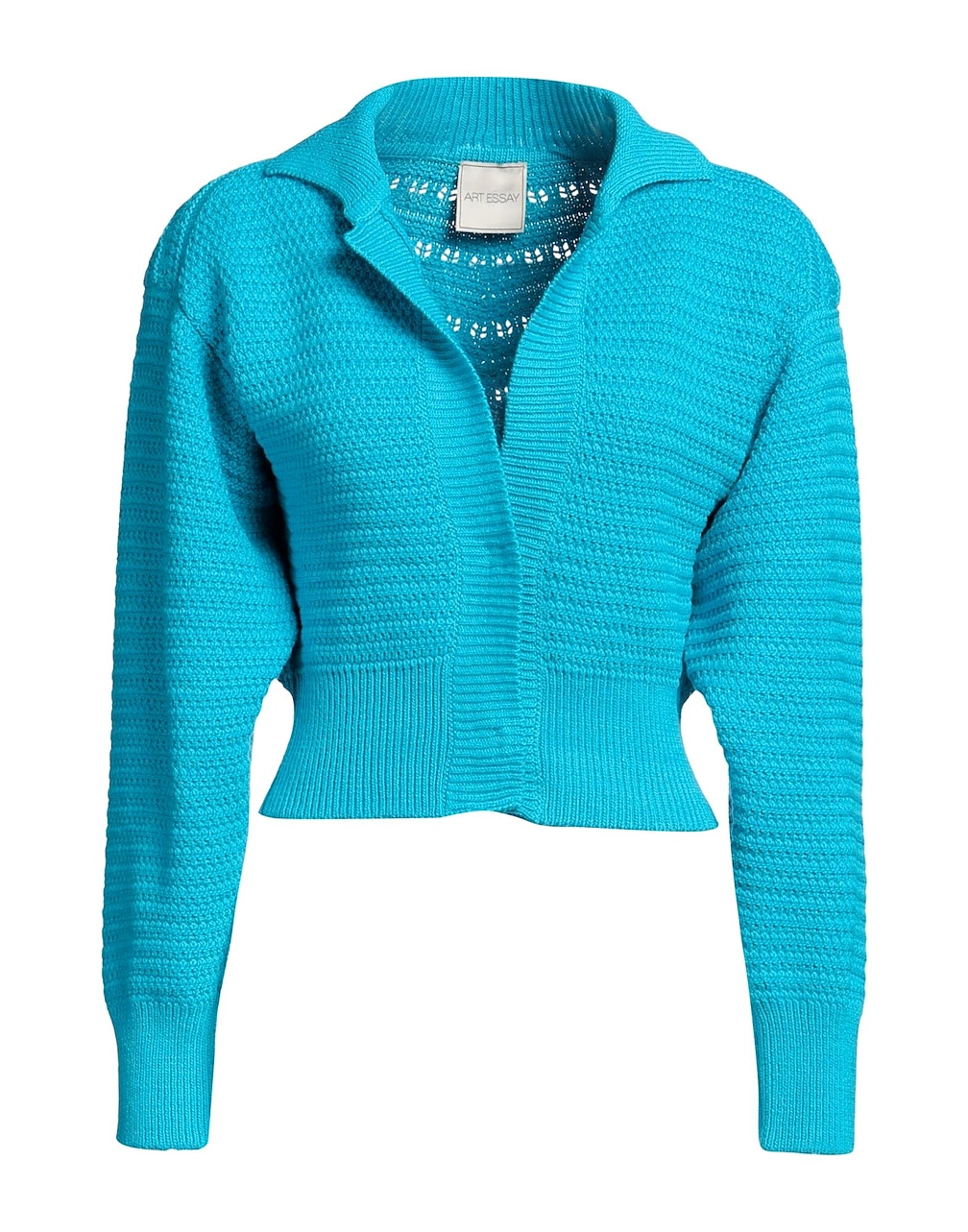 ART ESSAY - Cardigan