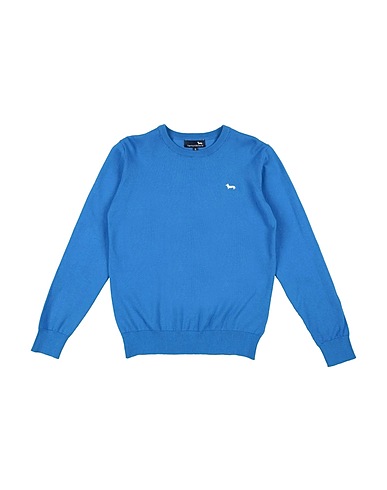 HARMONT & BLAINE Jumper Azure 100% Cotton