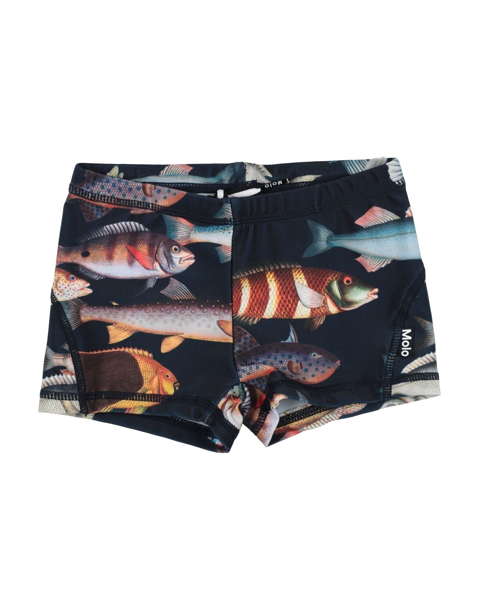 MOLO - Boxer da mare