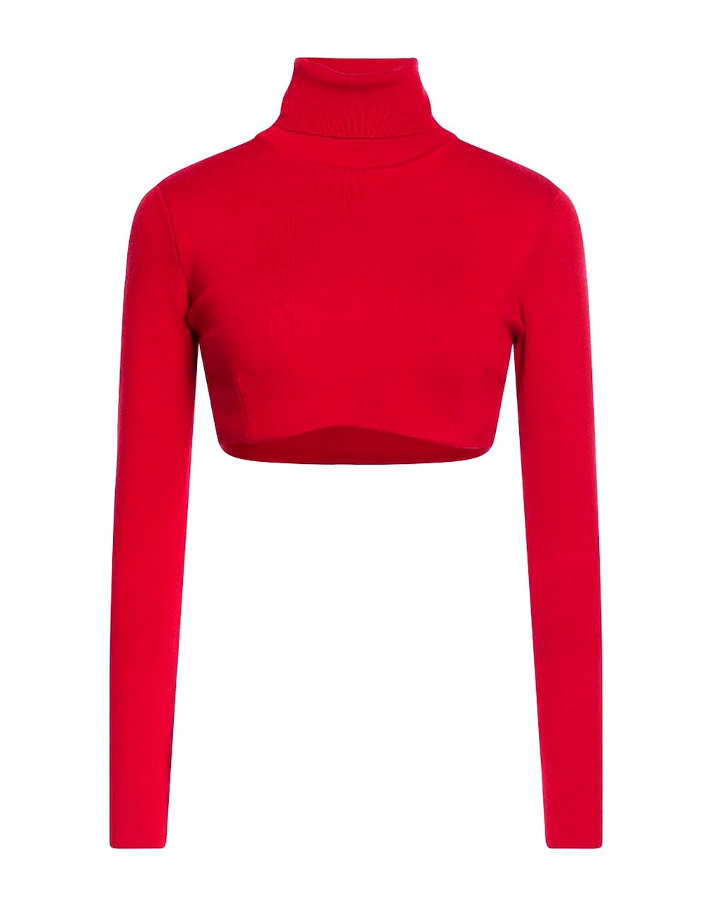 ELISABETTA FRANCHI - Rollkragenpullover