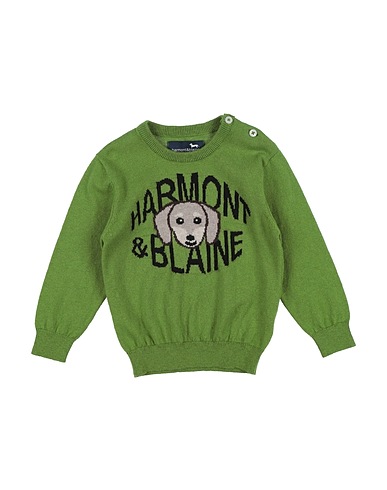 HARMONT & BLAINE Pullover Grün 80% Baumwolle, 20% Wolle