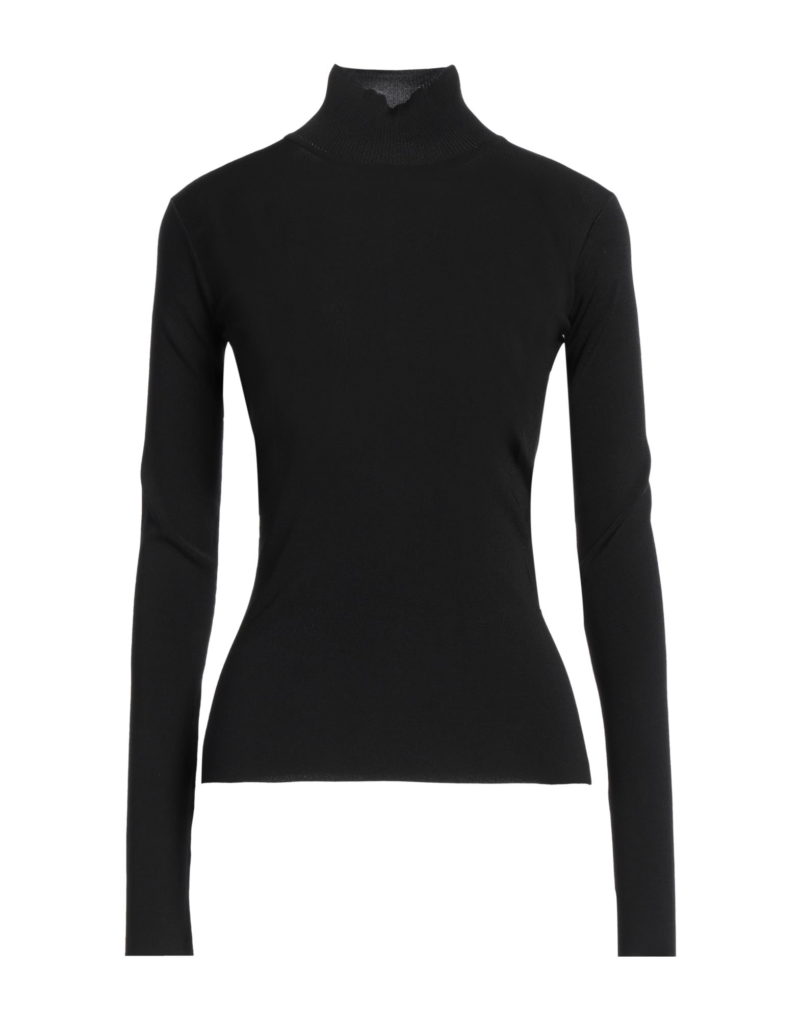 FABIANA FILIPPI - Rollkragenpullover