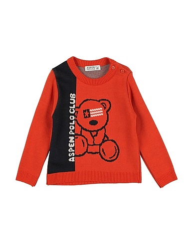 ASPEN POLO CLUB Pullover Cuoio 100% Acrilico
