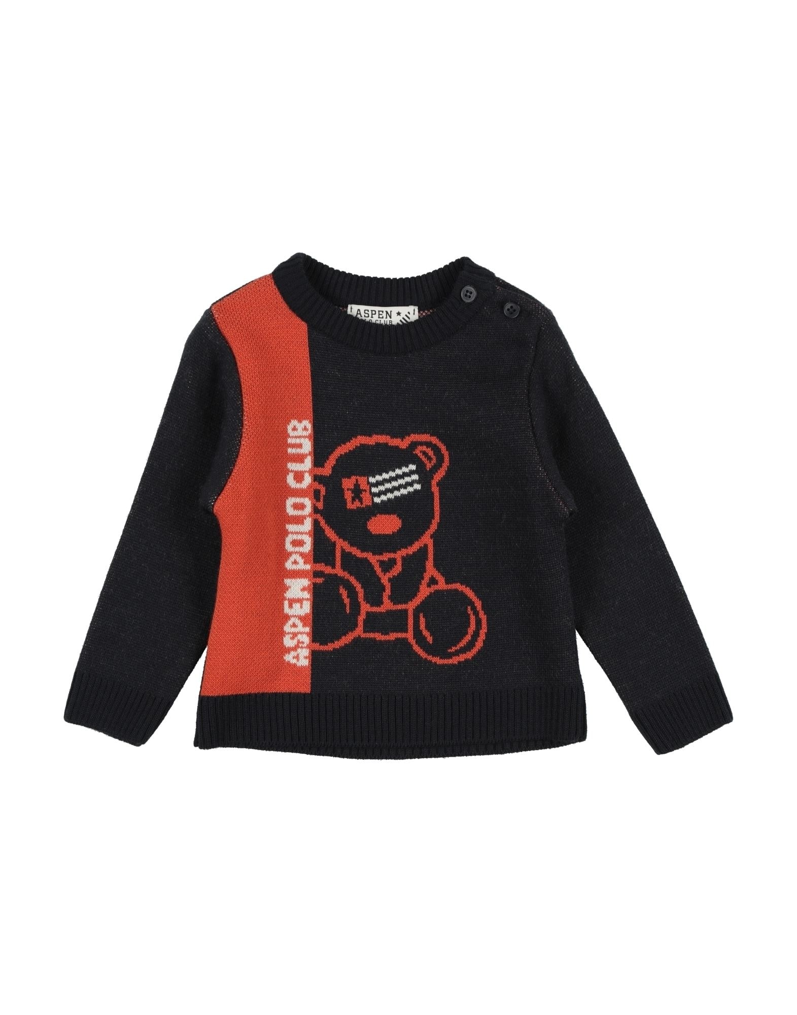 ASPEN POLO CLUB - Pullover