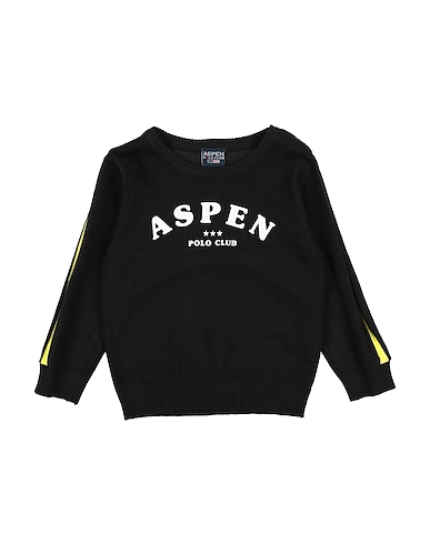 ASPEN POLO CLUB Jumper Black 80% Viscose, 20% Nylon