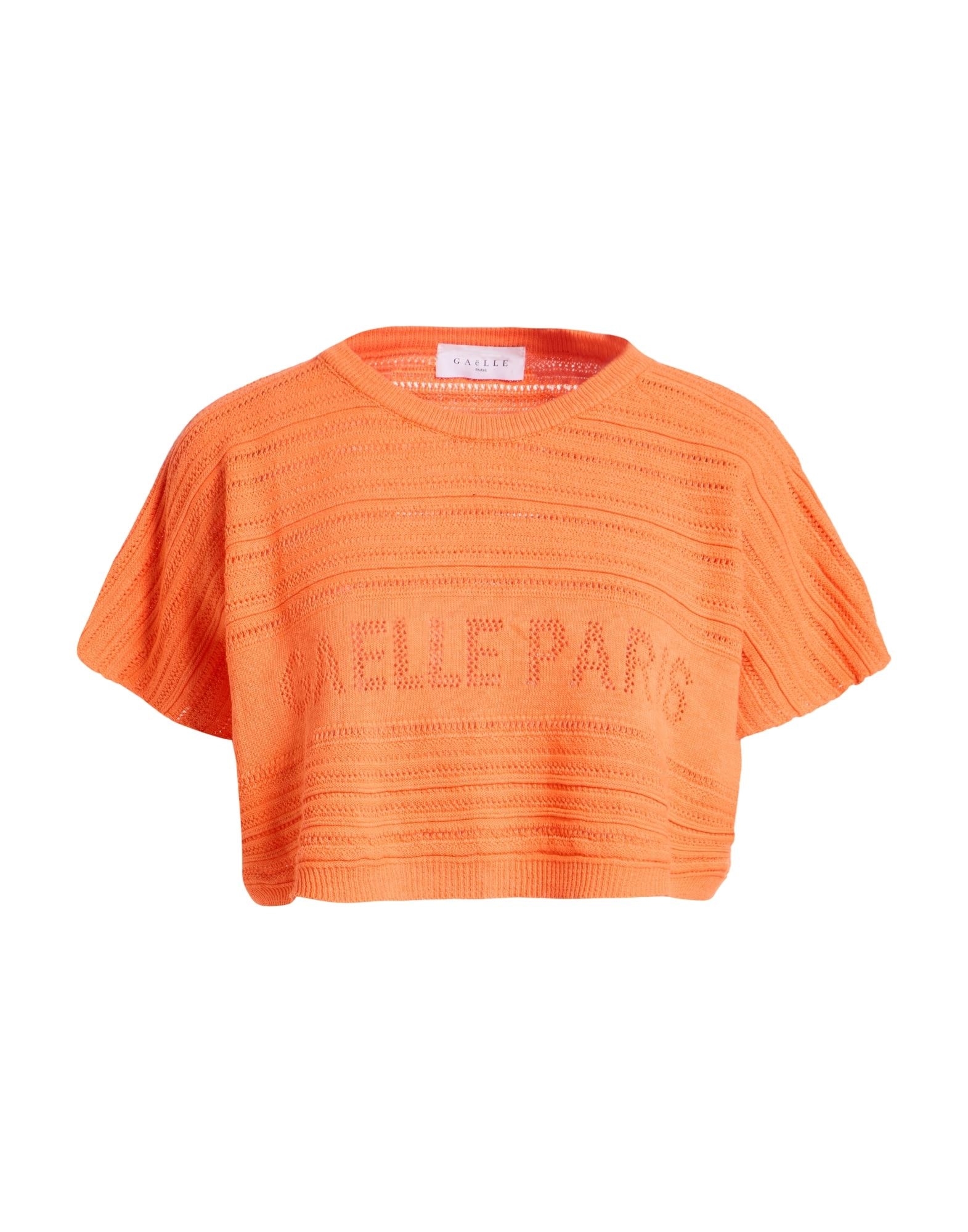 GAëLLE Paris - プルオーバー