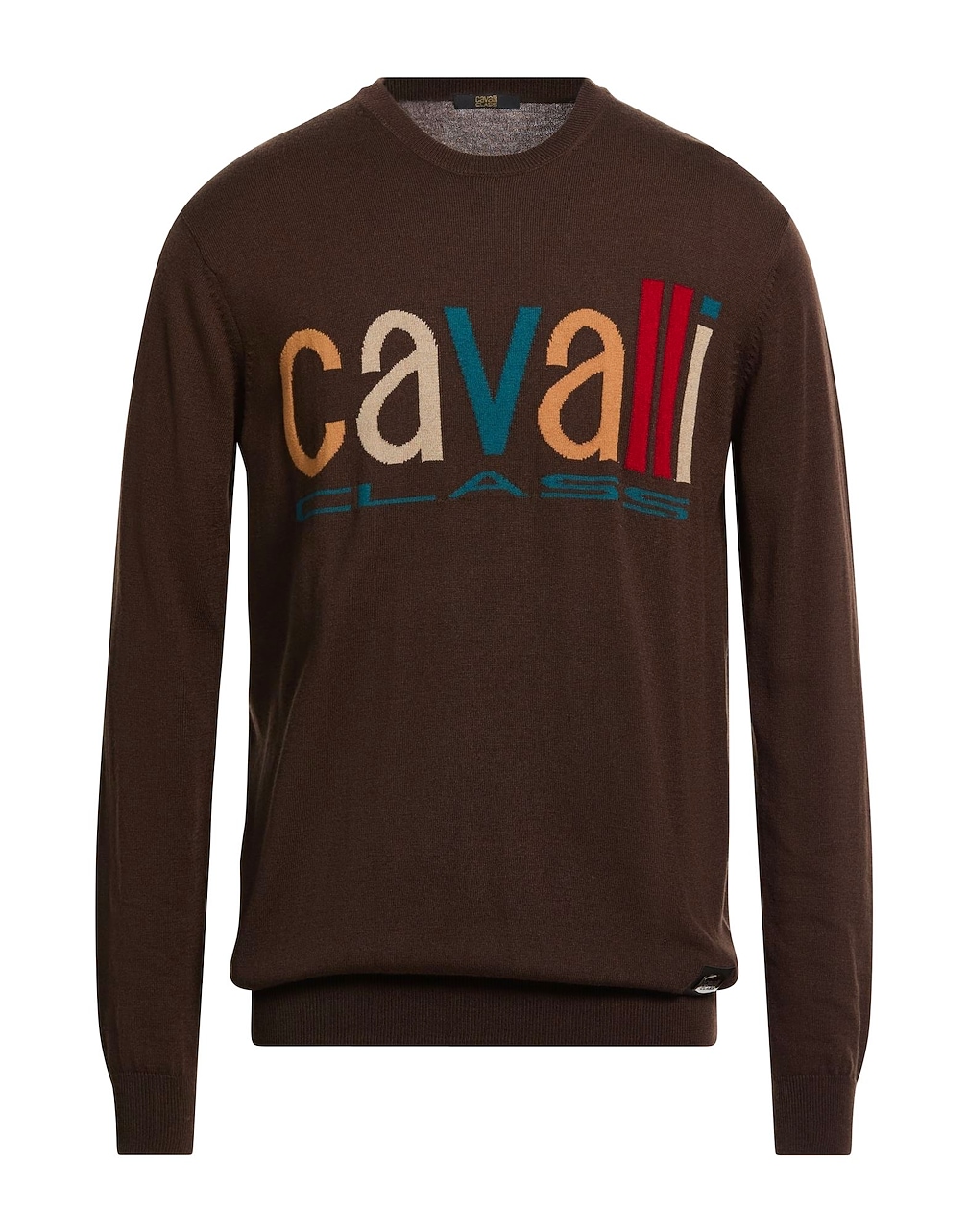 CAVALLI CLASS - Pullover