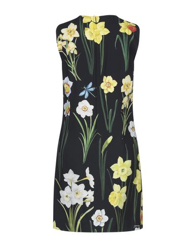 Dolce & Gabbana Short Dresses In Black