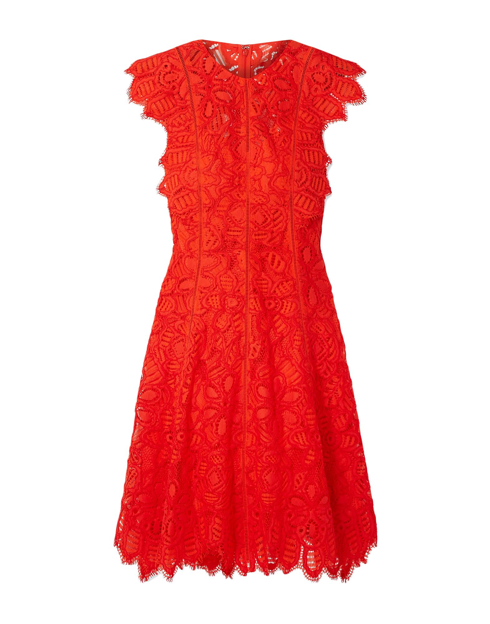 Платья rise rose. Lela rose. Rose платье. Blumarine red roses skirt. Denny rose платье зима 2014.