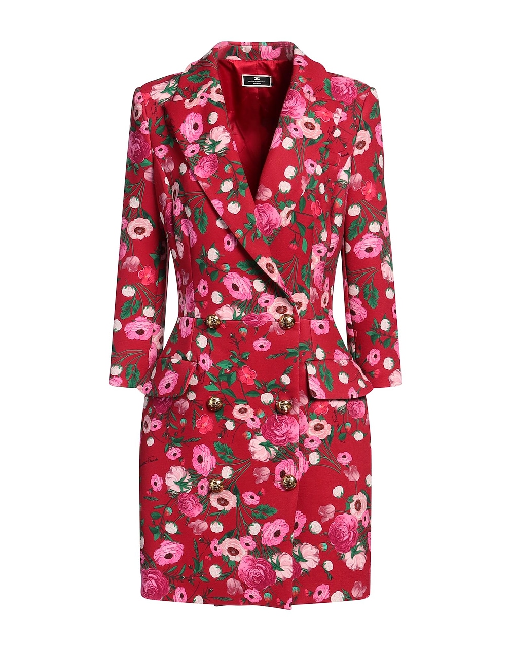 ELISABETTA FRANCHI - Mini dresses