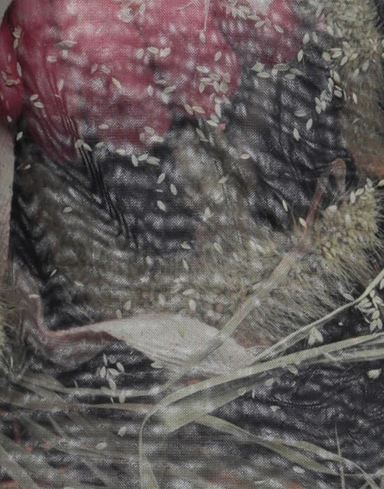 OTTOLINGER Короткое платье