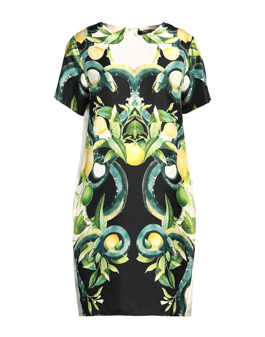 ROBERTO CAVALLI - Mini dresses