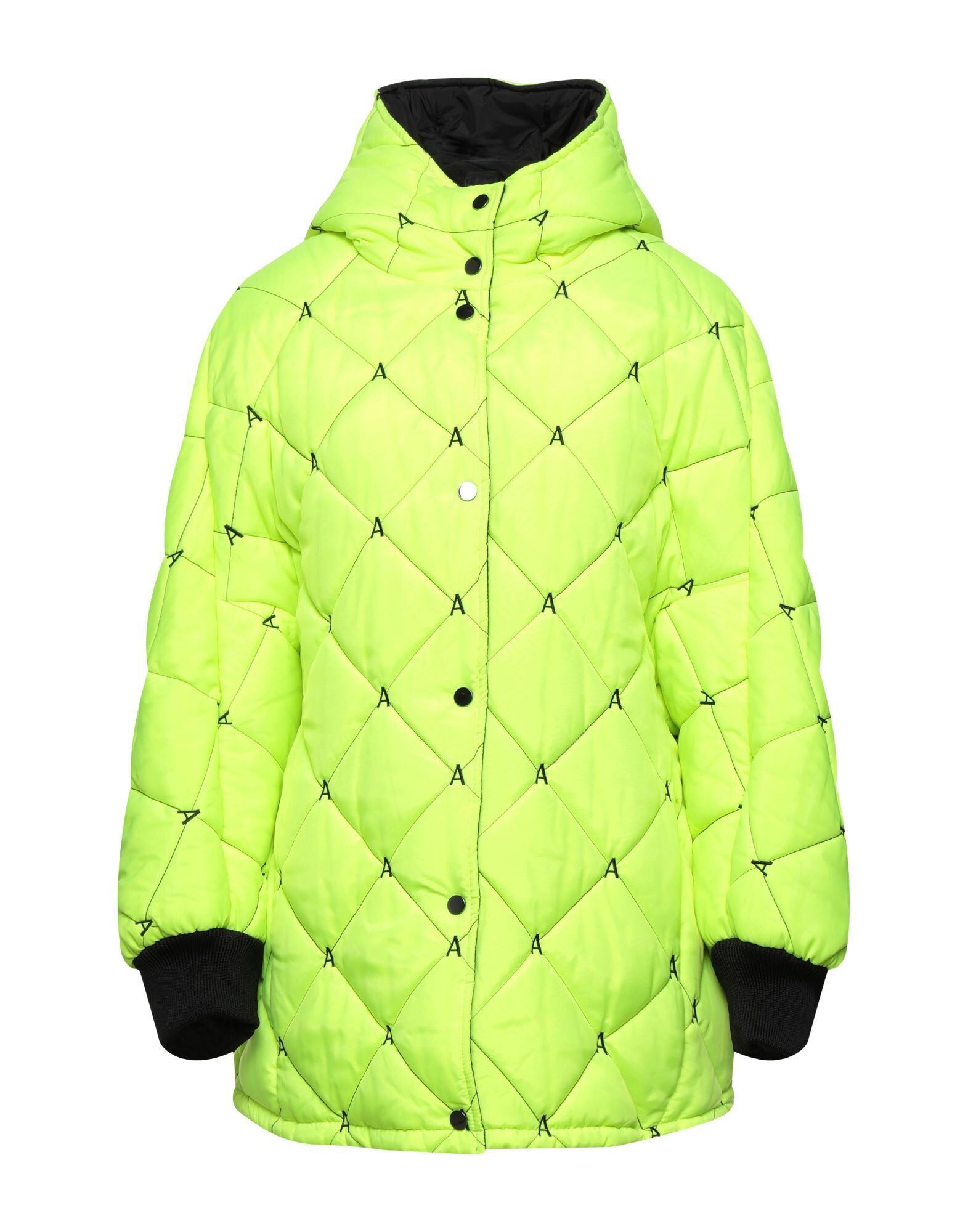 ACTITUDE by TWINSET - ダウン＆シンセティック