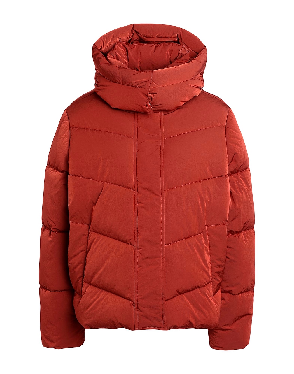CALVIN KLEIN - Pufferjacken & Daunenjacken