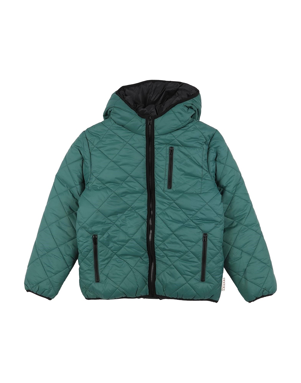MARNI - Puffers