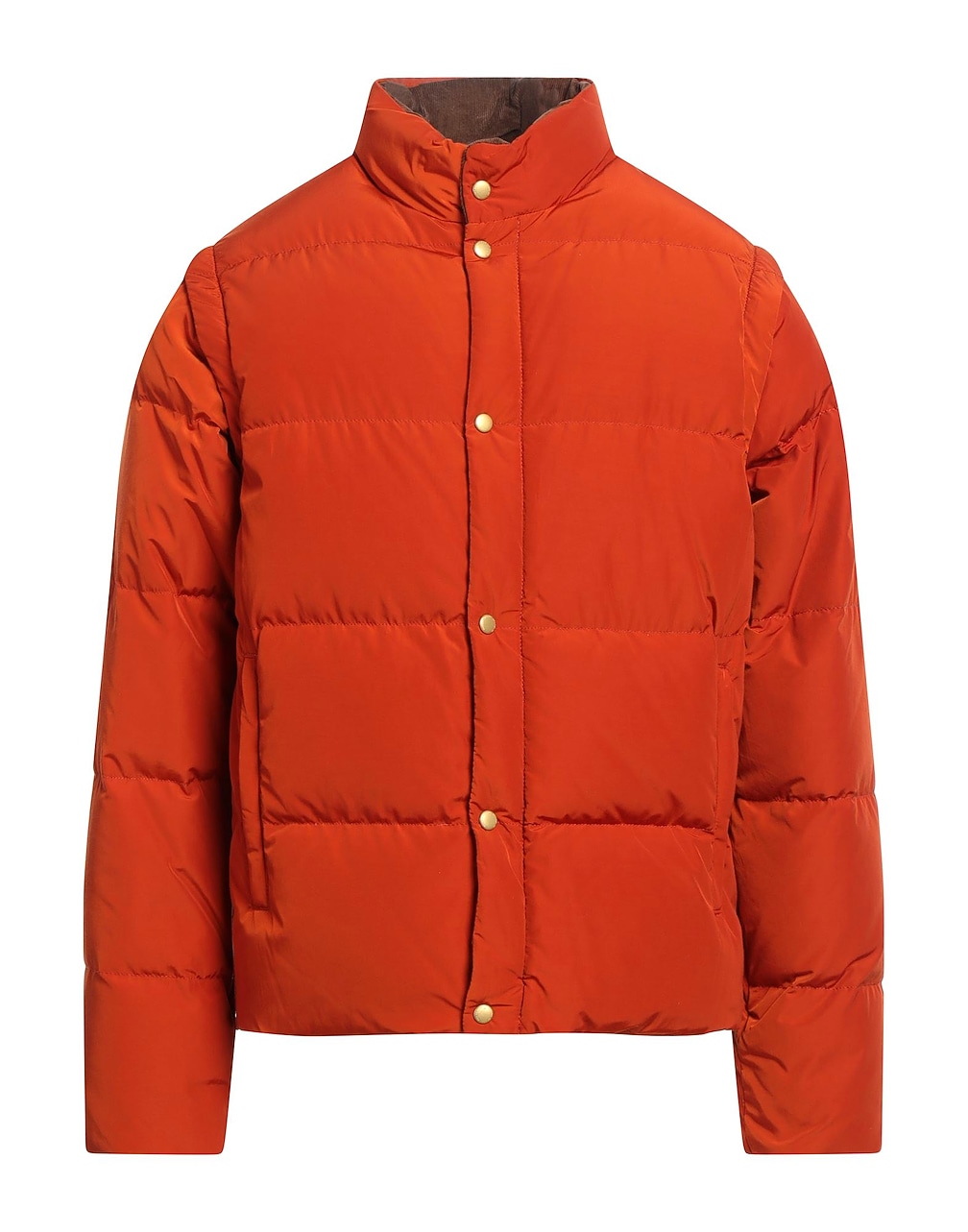 HOLUBAR - Puffers