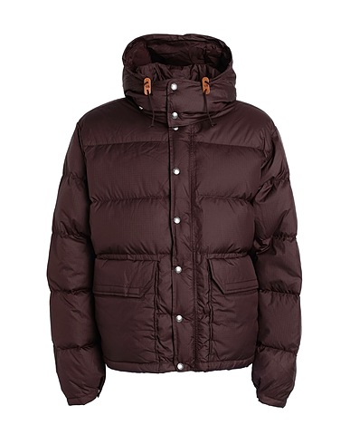 THE NORTH FACE Shell jacket M 71 SIERRA DOWN SHORT JACKET
 Chocolate brown 100% Polyester