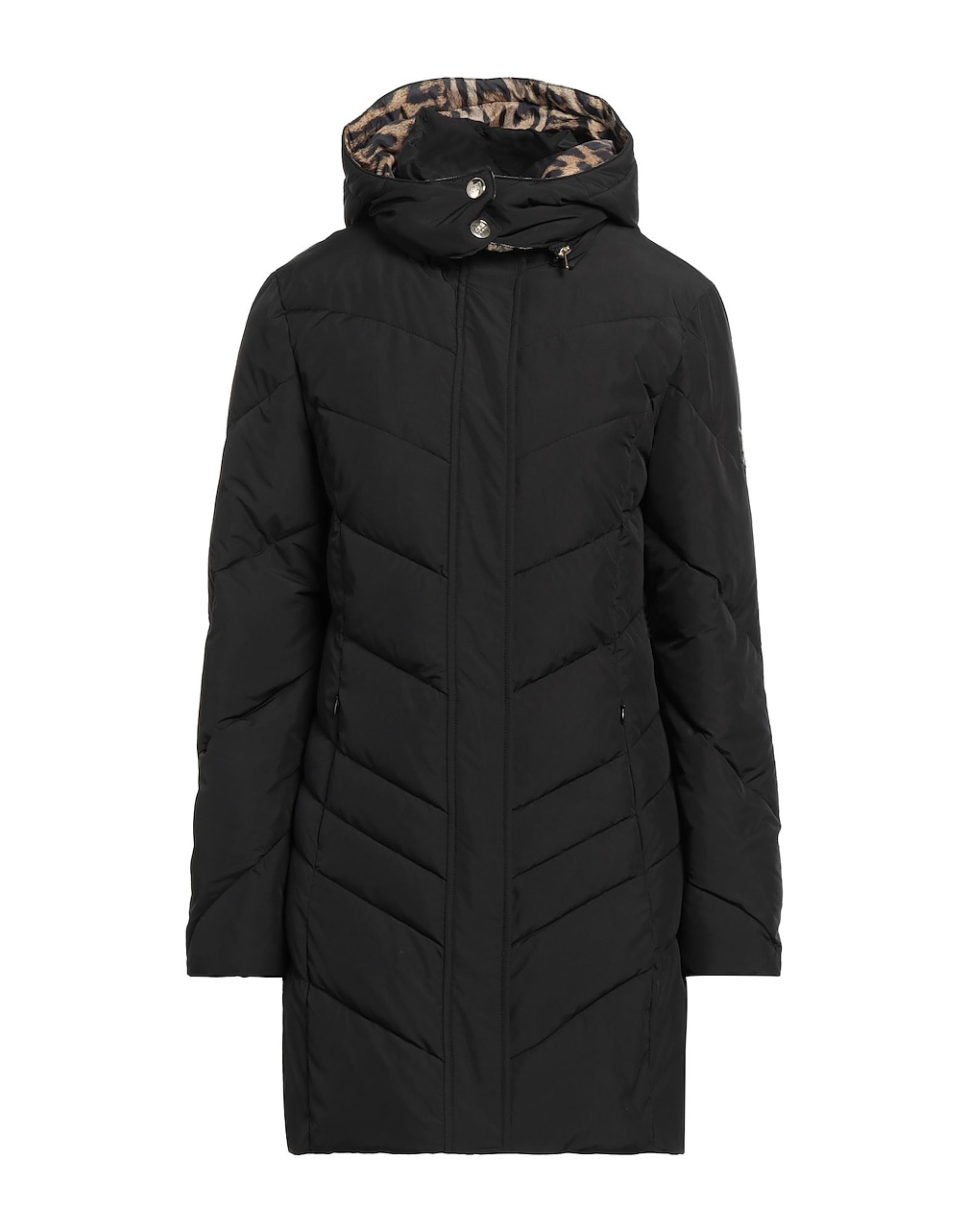 CAVALLI CLASS - Pufferjacken & Daunenjacken