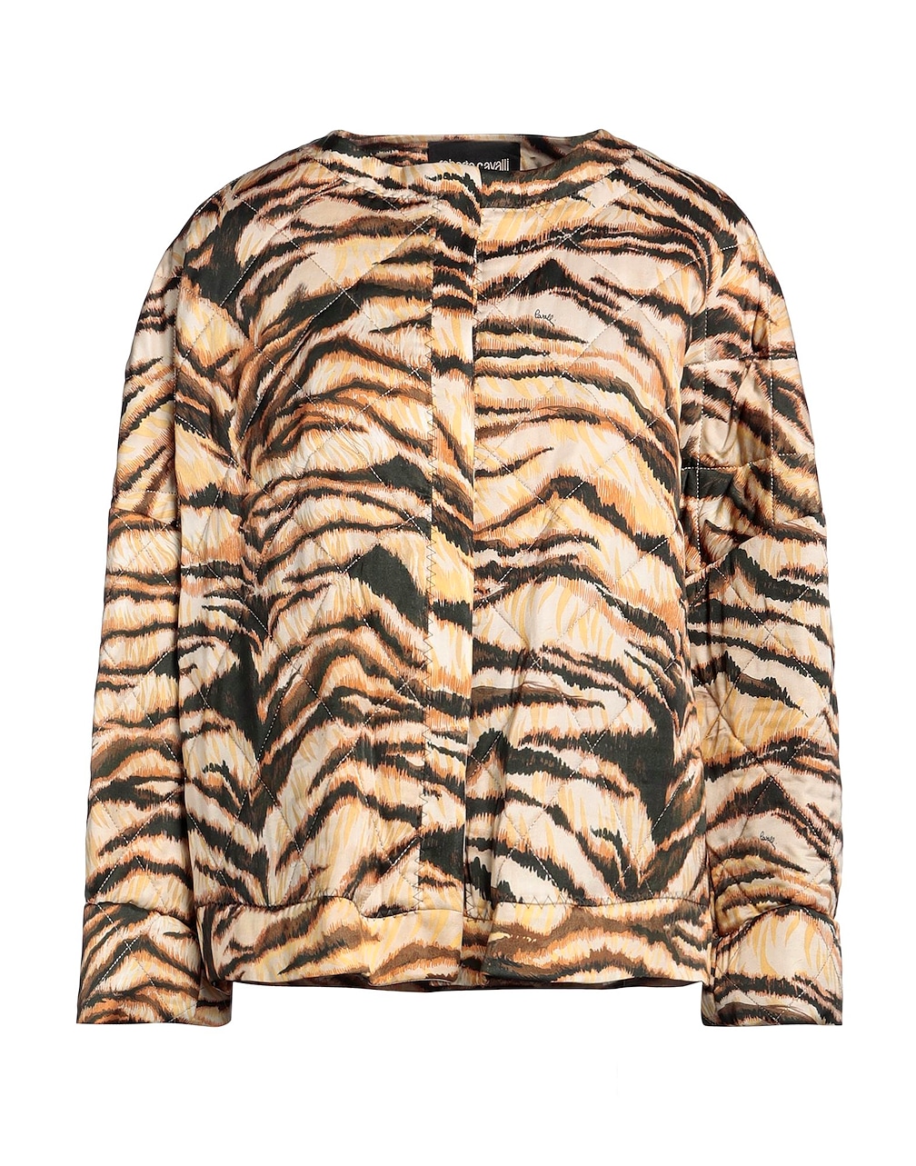 ROBERTO CAVALLI - Vestes et blousons