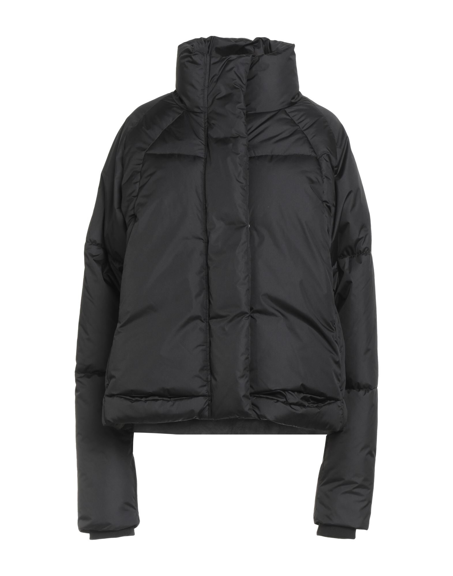 DISCLAIMER - Puffers