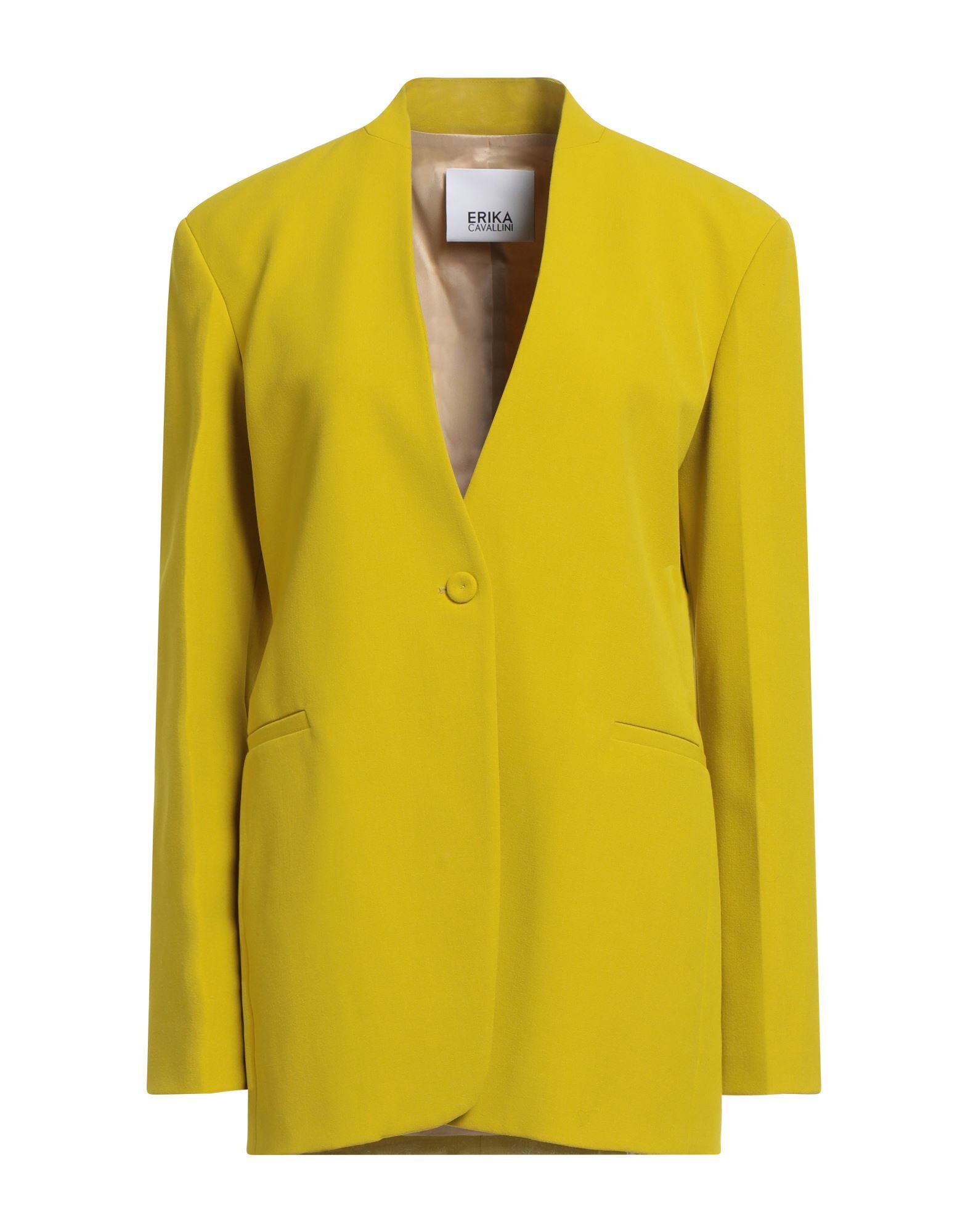 ERIKA CAVALLINI - Americanas