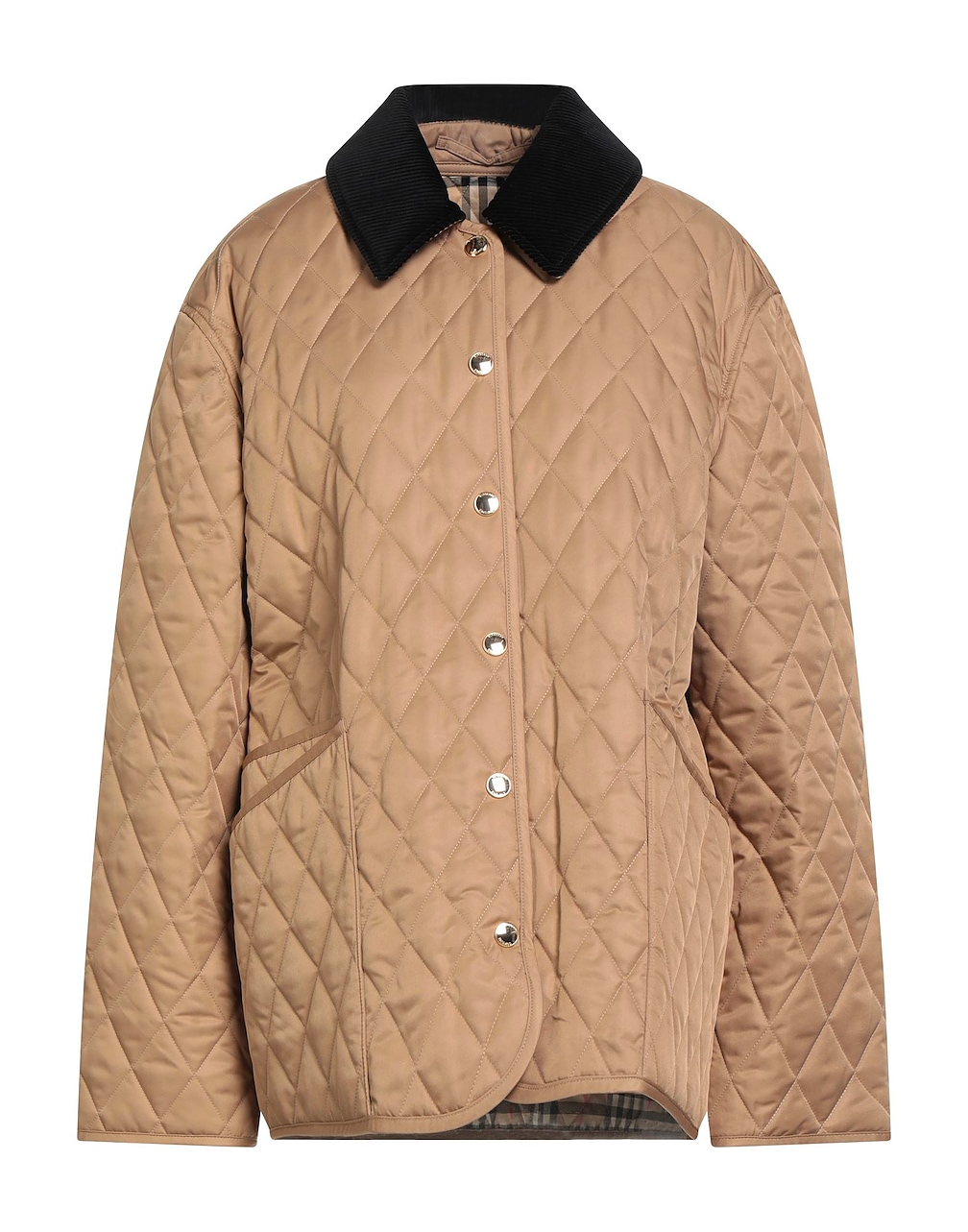 BURBERRY - Puffers