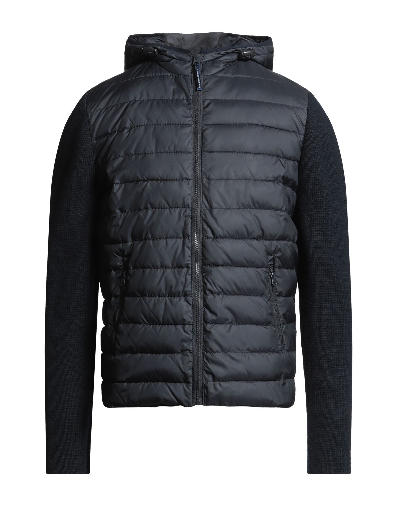 BRIAN DALES - Pufferjacken & Daunenjacken