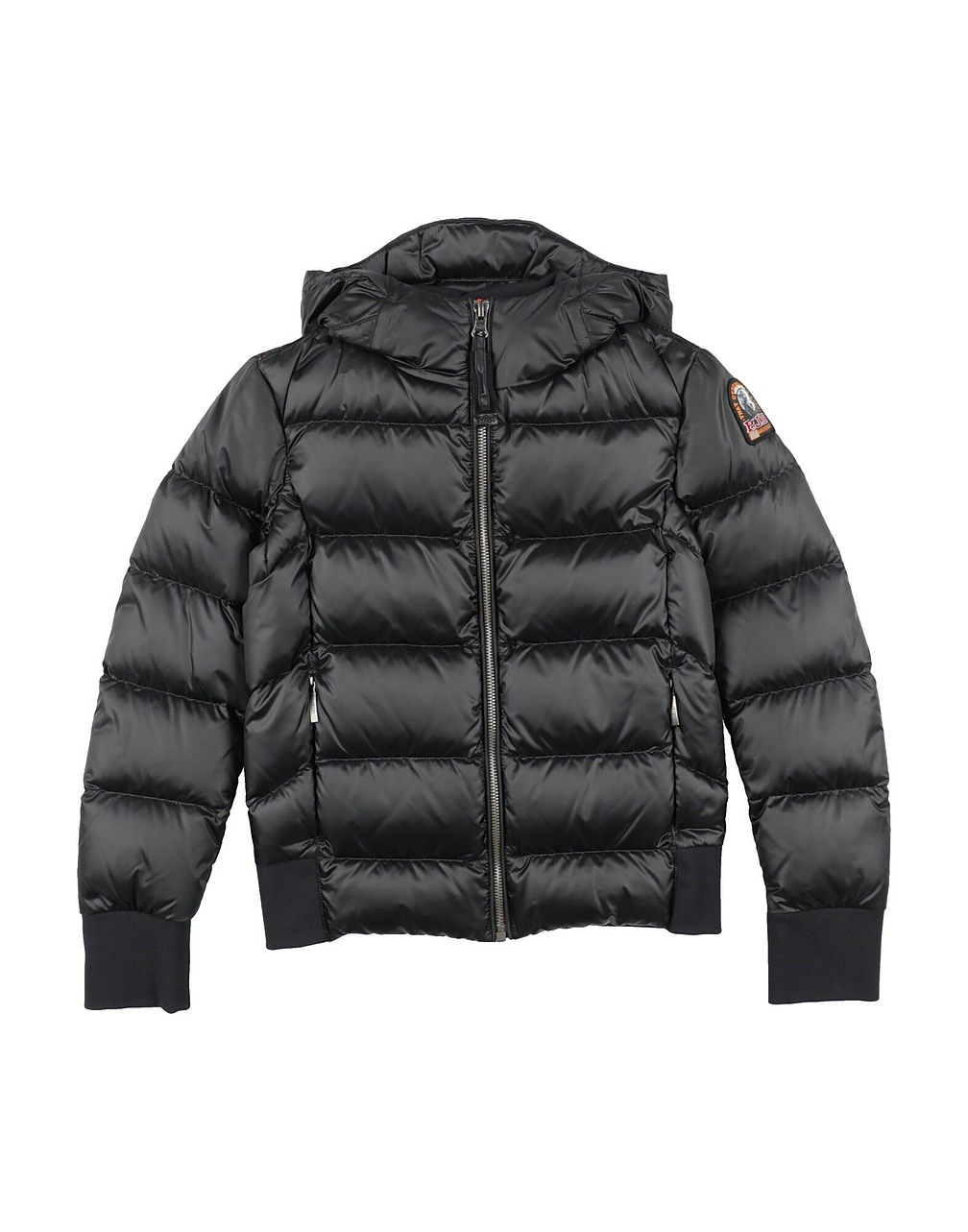 PARAJUMPERS - Pufferjacken & Daunenjacken