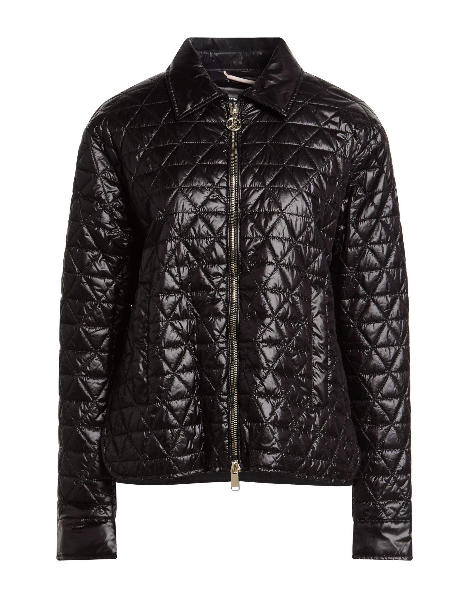 PEOPLE OF SHIBUYA - 다운 & 합성 패딩